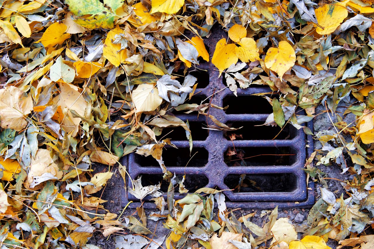 clogged drain