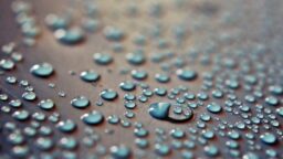 rain